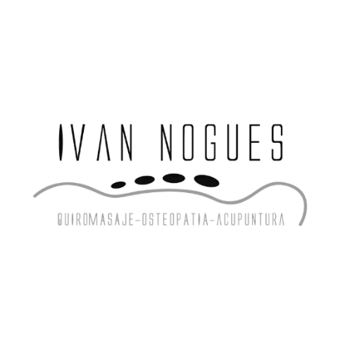 Diseño Web en Castellón cliente nogues